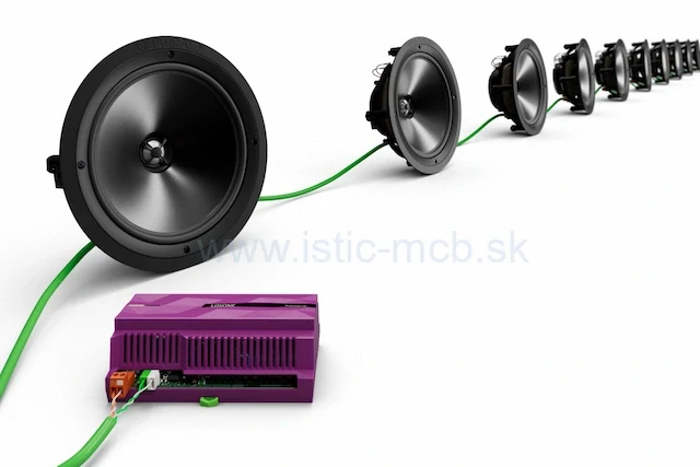 LOXONE Audioserver