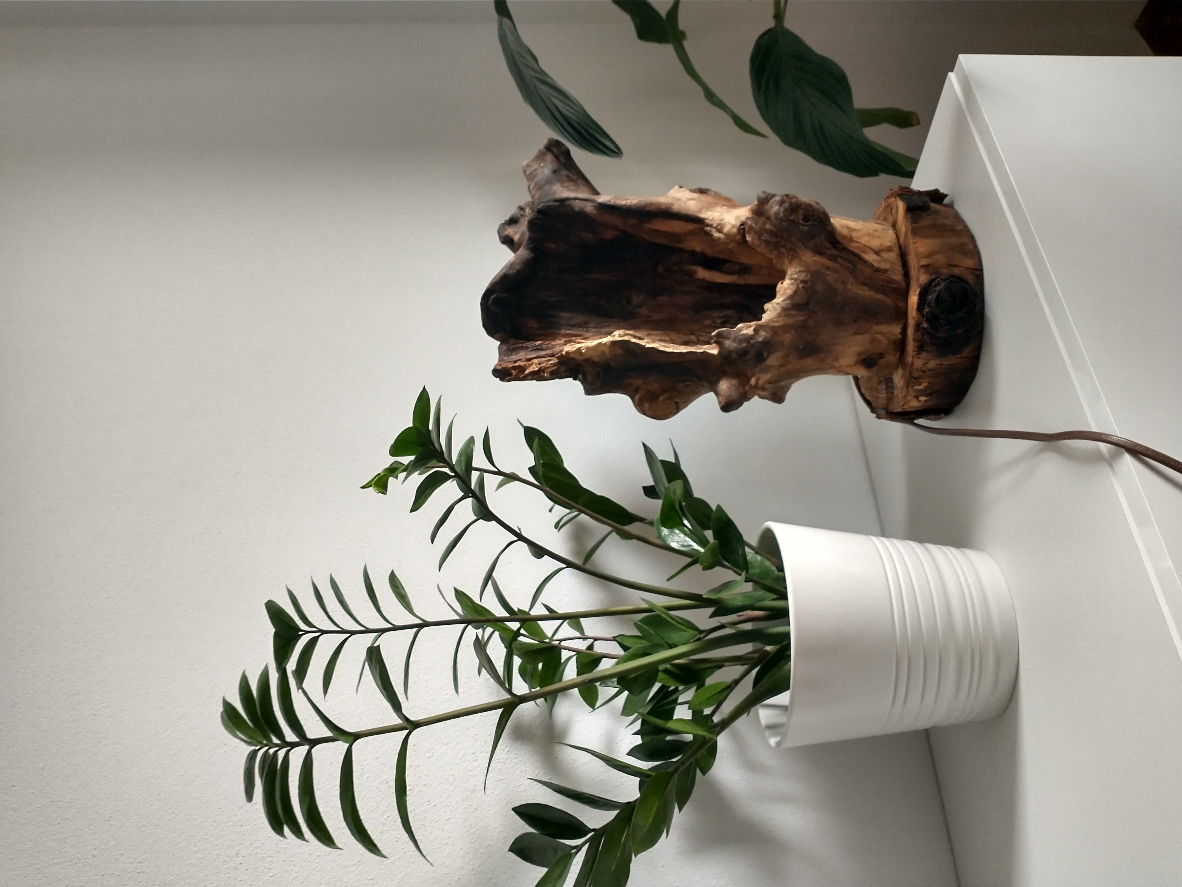 WOOD LAMP svietidlo na stôl